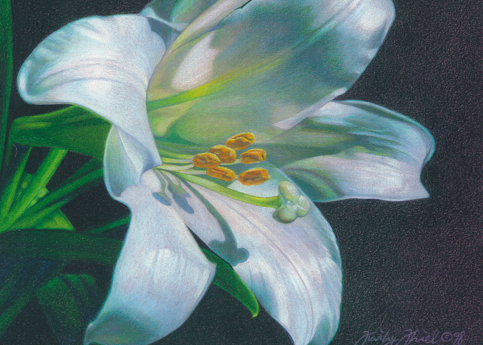 Easter Lily 1 Art | Kathy Koziak Art