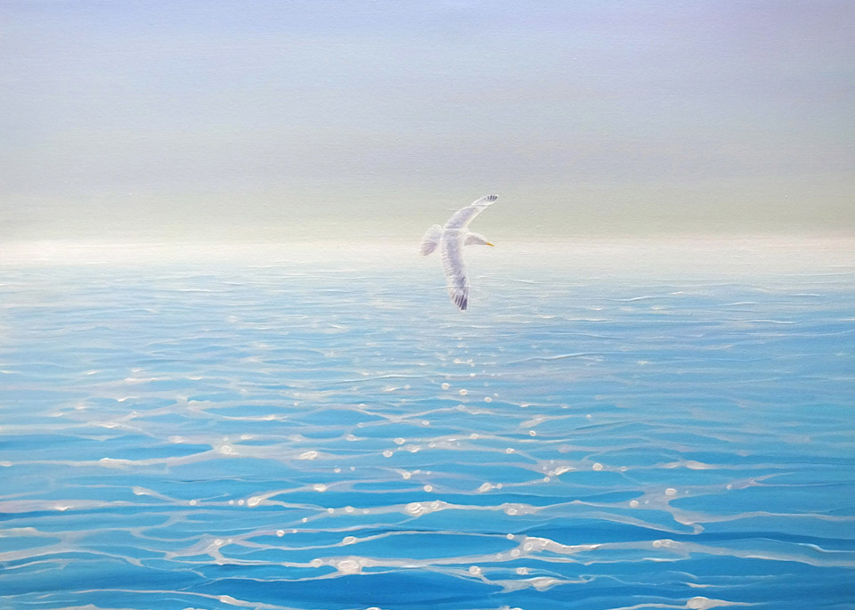 calm blue seascape with a gull