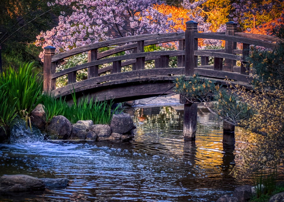 Blossom Bridge Photography Art | FocusPro Services, Inc.