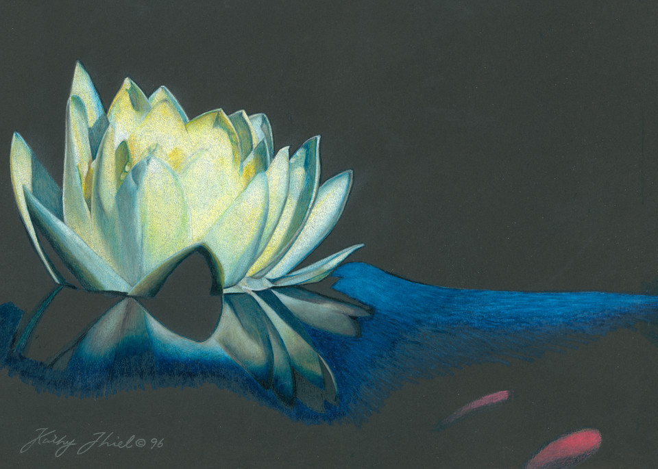 Water Lily Art | Kathy Koziak Art