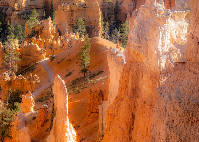 Queen’s Garden, Bryce Canyon | Landscape Photography | Tim Truby 