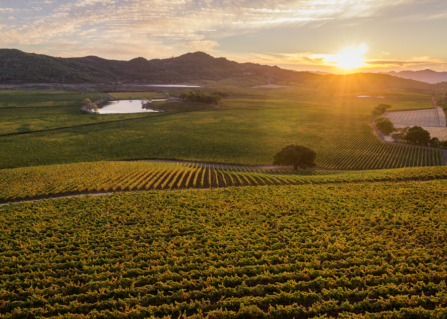 Sunset at the top of Napa Valley