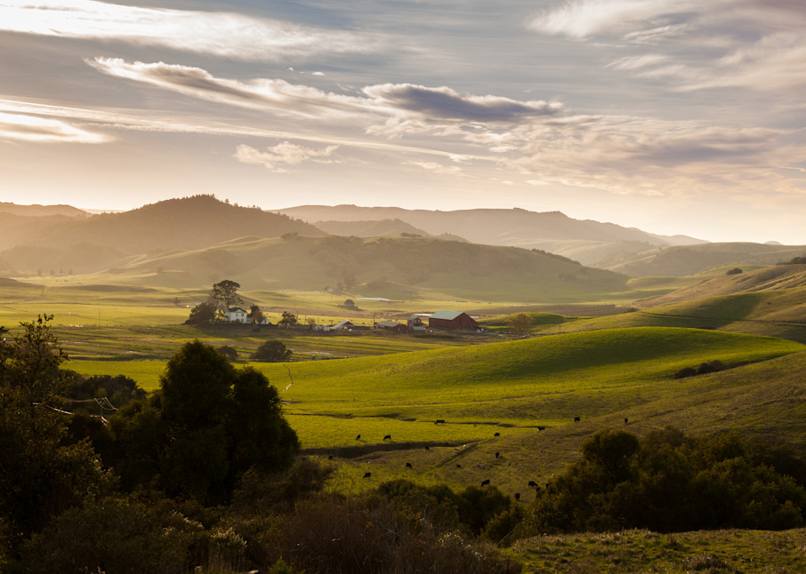 Pastoral landscape in Marin County