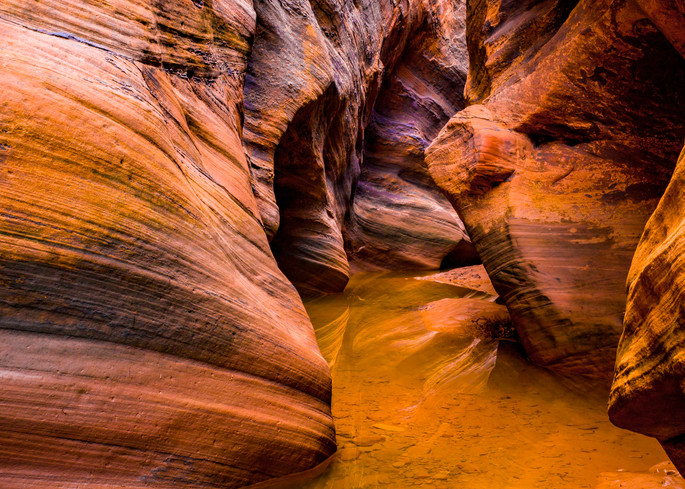 Zion Canyon - Left | Nature Photography | Thomas Watkins Fine Art Photography