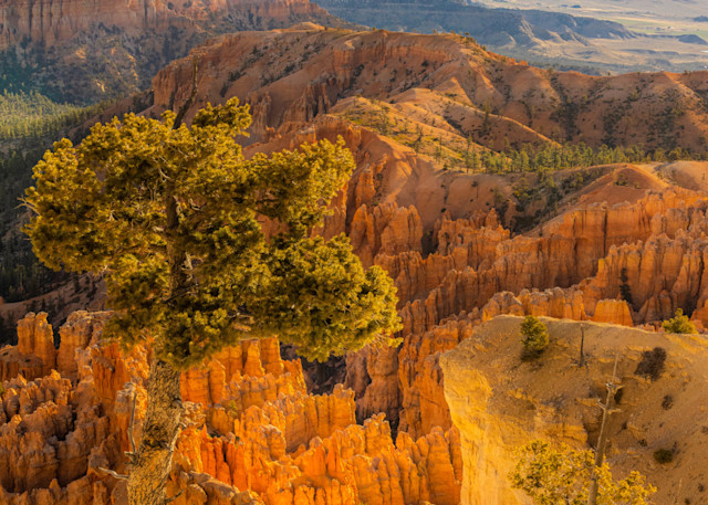 Bryce Point, Utah | Landscape Photography | Tim Truby 