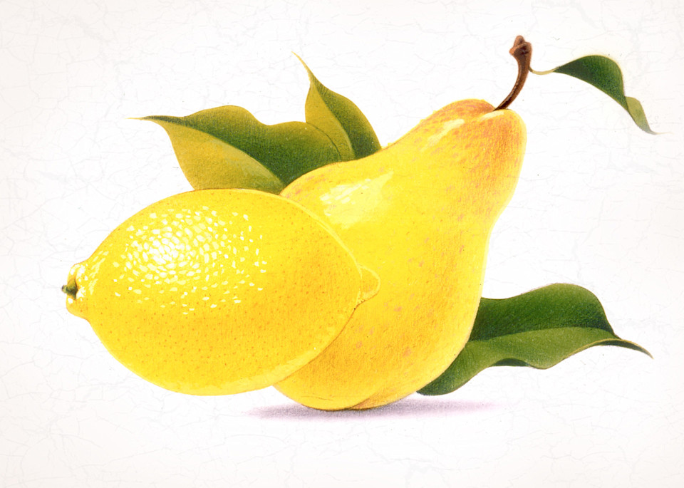 Pear Lemon2048 Art | zumbofineart