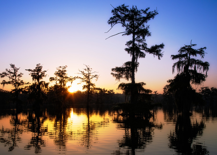 Lake Martin Sunrise - Louisiana swamp fine-art photography prints