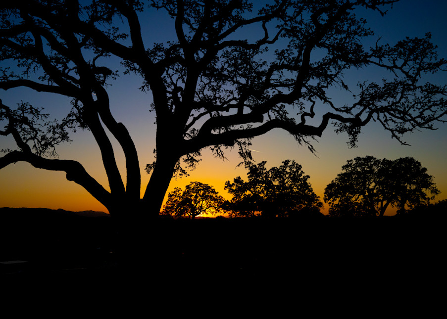 Paso Robles Sunset Photography Art | FocusPro Services, Inc.