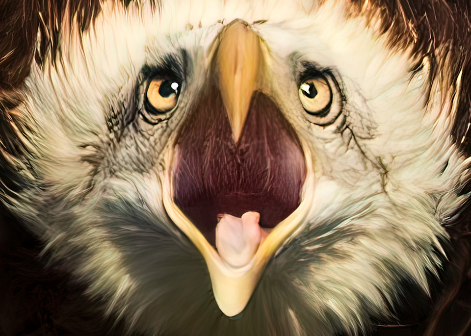The Eagle Screams