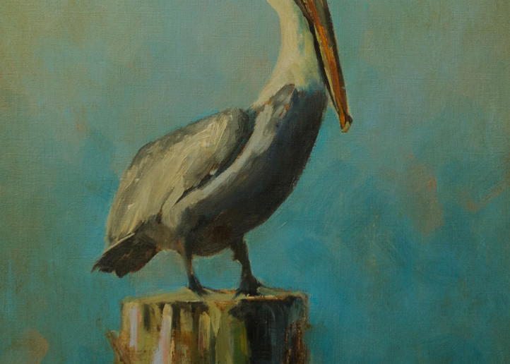Pelican Wz3xq6 Art | Booker Tueller Fine Art
