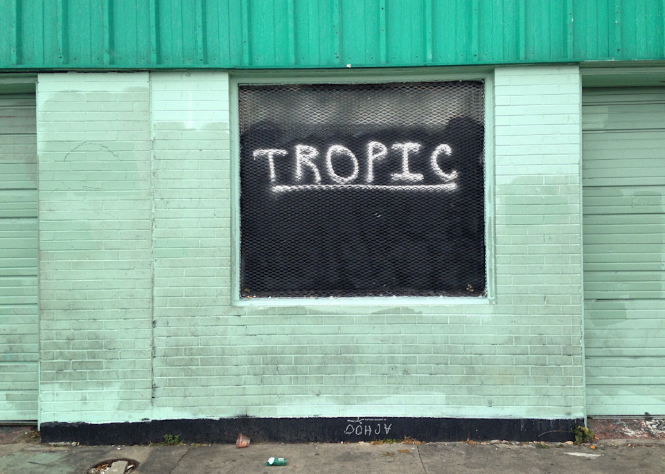 Tropic Art | Mikey Rioux
