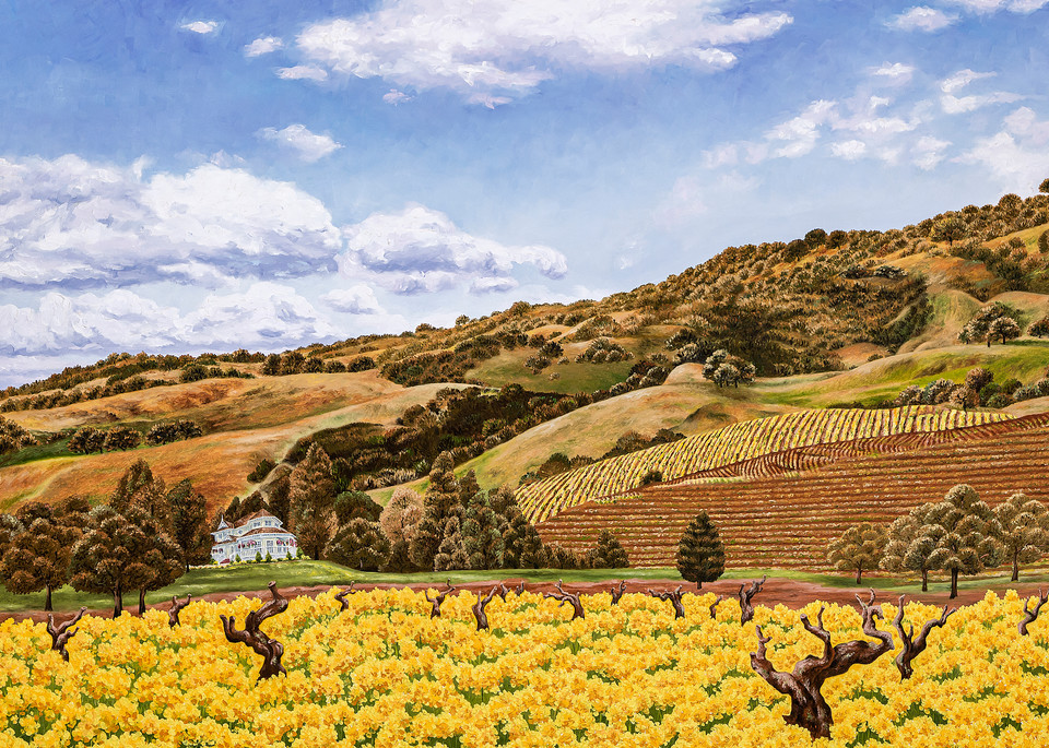 Sonoma And Old Vines   Products Art | Mercedes Fine Art