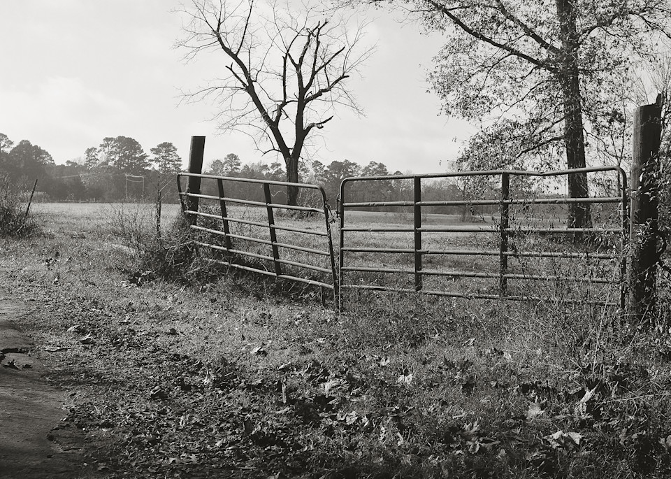 Texas Pasture Photography Art | TERESA BERG PHOTOGRAPHY