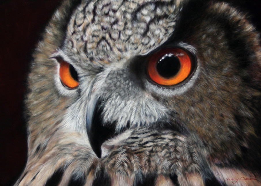 Checkers the Eurasian Eagle Owl by Nancy Conant