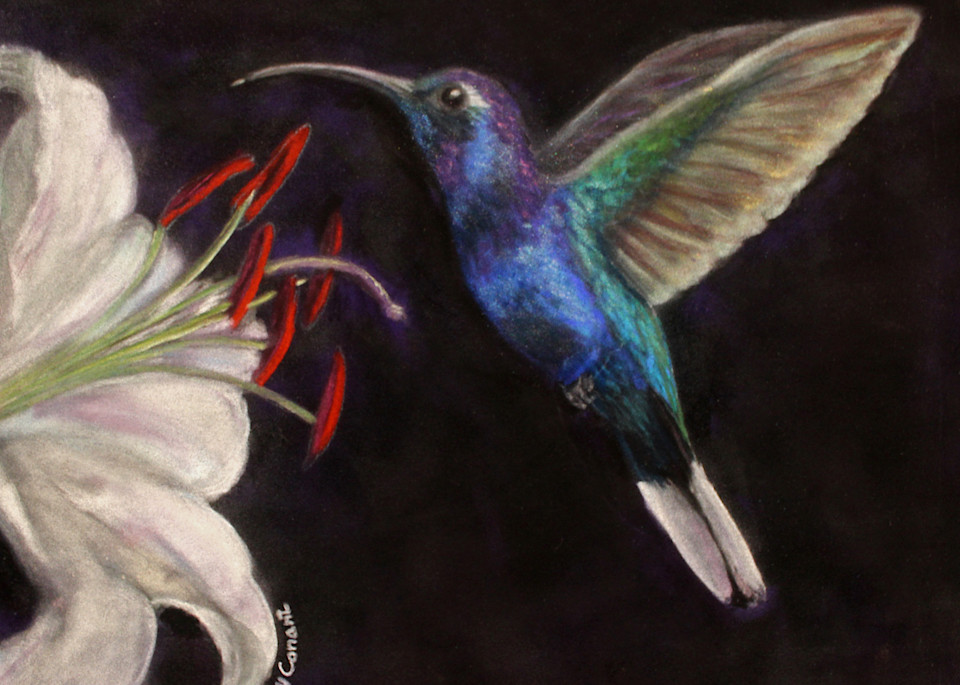 Violet Sawbrewings Hummingbird by Nancy Conant