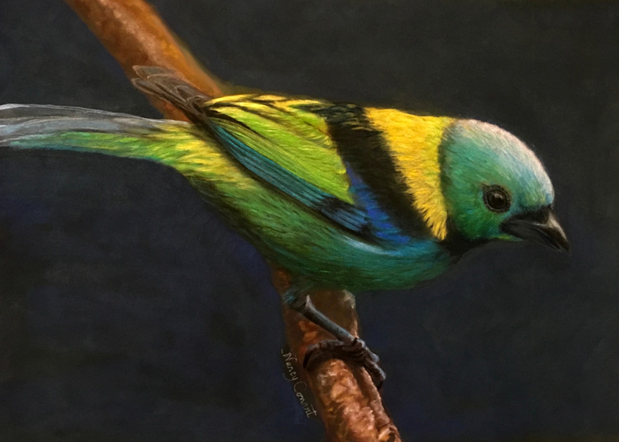 Your Heavenly Father Feeds Them by Nancy Conant is a green headed tanager