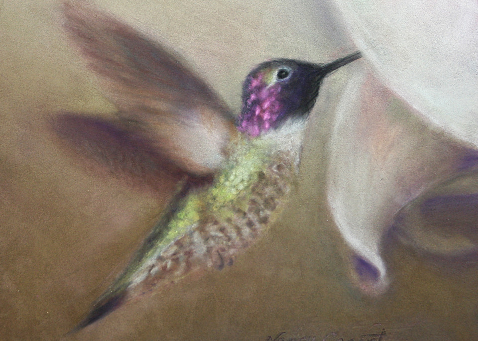 Hummingbird Don't Fly Away by Nancy Conant is hand painted hummingbird art
