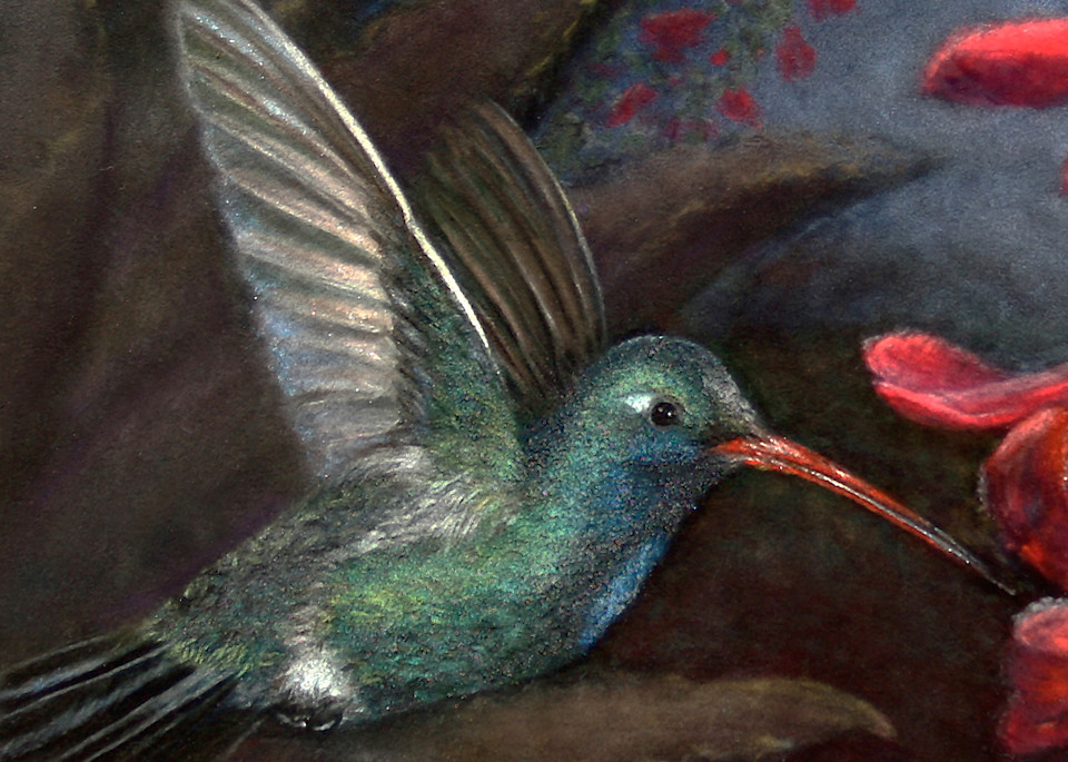 Hummingbird painting Jewel of the Morning Sky by Nancy Conant