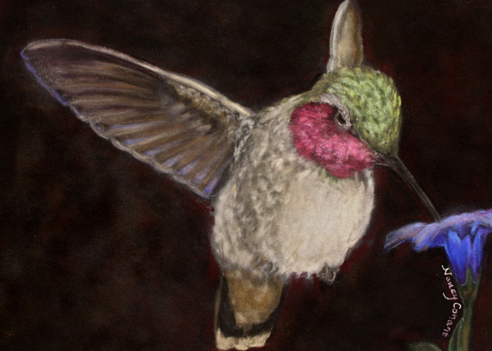 Ruby Throated Hummingbird by Nancy Conant
