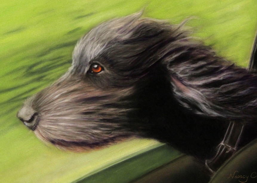Dog ride in car, Joyride by Nancy Conant