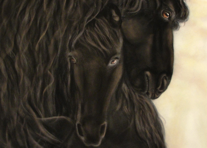Are horses affectionate? Kindred Spirits by Nancy Conant proves they are!