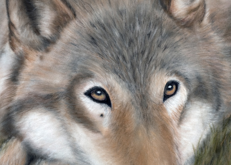 wolf portrait, El Lobo by Nancy Conant