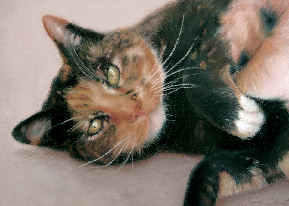 Calico cat, Snickers by Nancy Conant