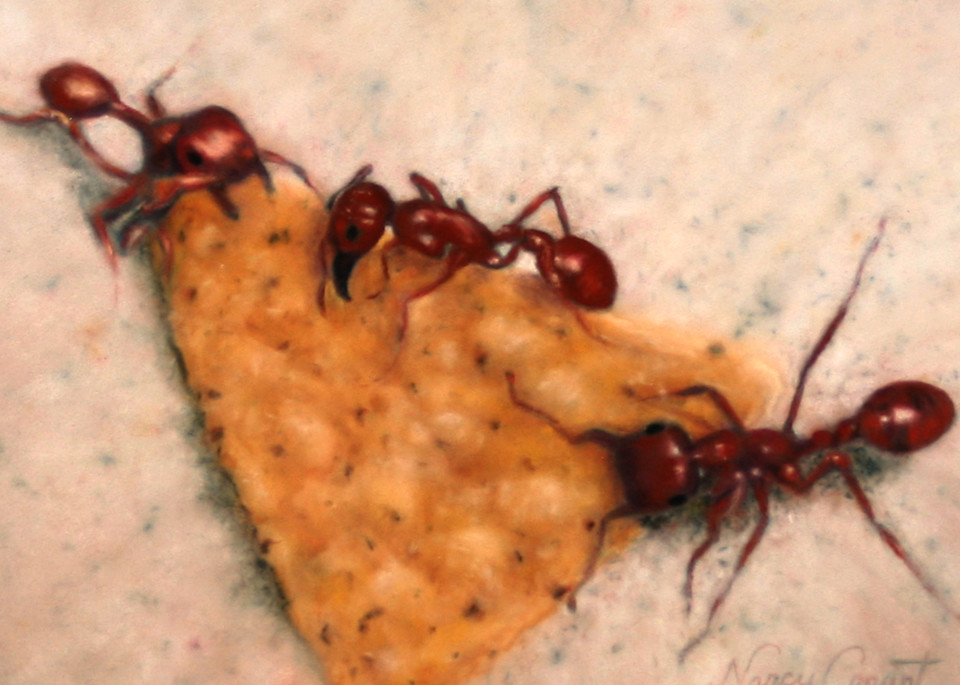 Ant artwork, The Three Amigos by Nancy Conant