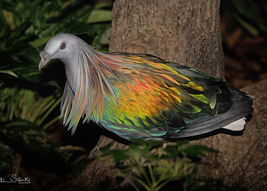 Colorful Bird!   Painted Photography Art | Julian Starks Photography LLC.