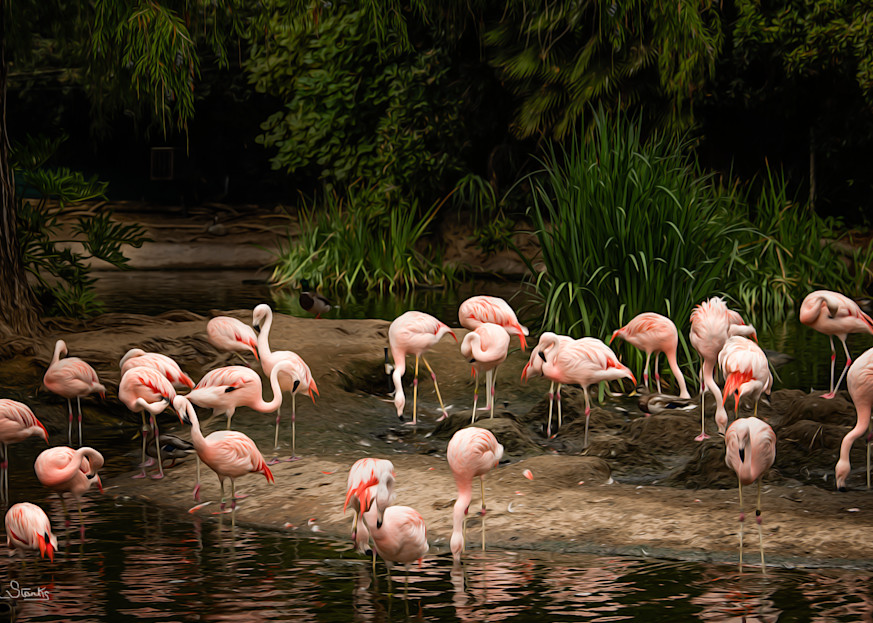 A Flock Of "Flamingos"   Painted Photography Art | Julian Starks Photography LLC.