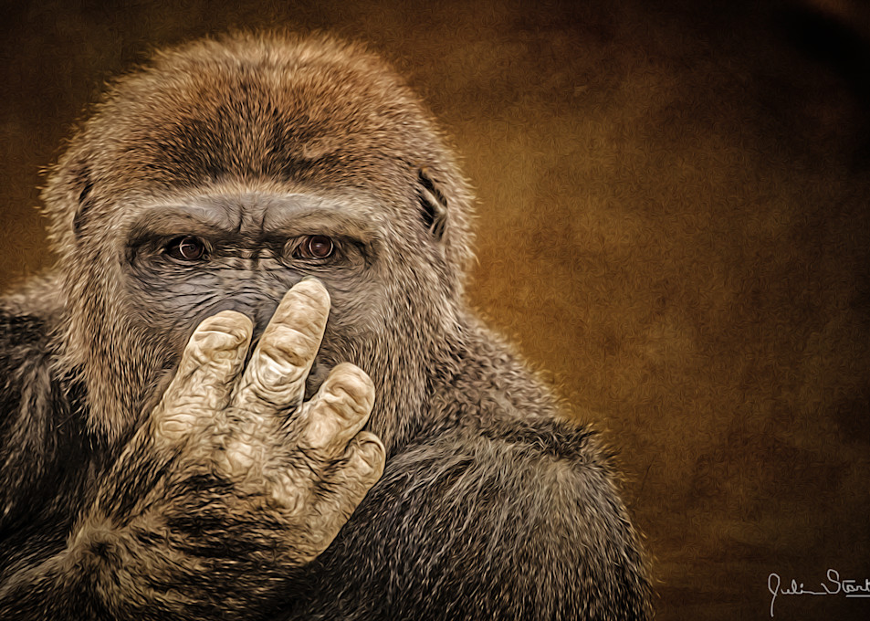 "Flipping Off" Gorilla   Painted Photography Art | Julian Starks Photography LLC.