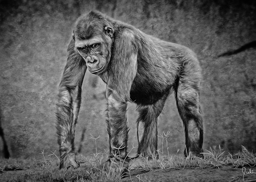 "Psycho" Chimp!   Painted Photography Art | Julian Starks Photography LLC.