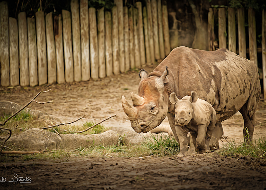 Momma With Baby Rhino!   Painted Photography Art | Julian Starks Photography LLC.