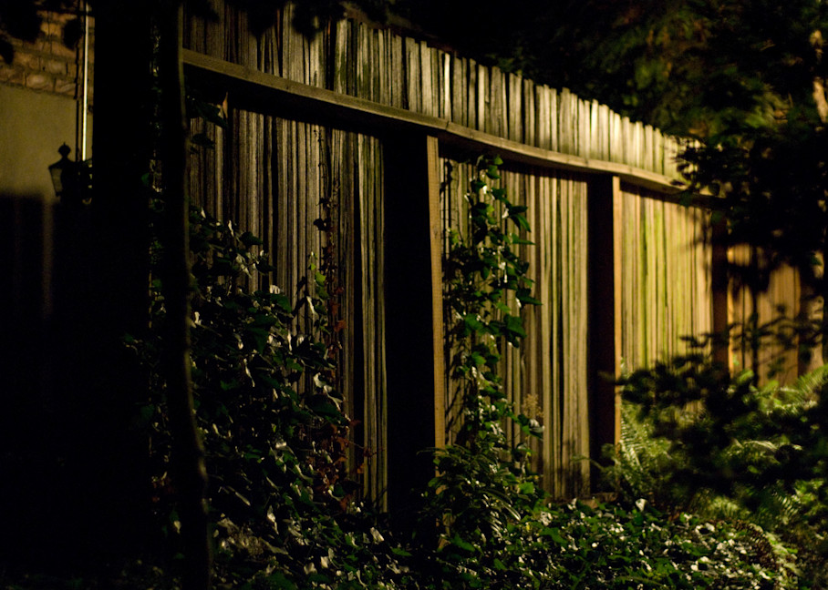 Night Fence Art | Mikey Rioux