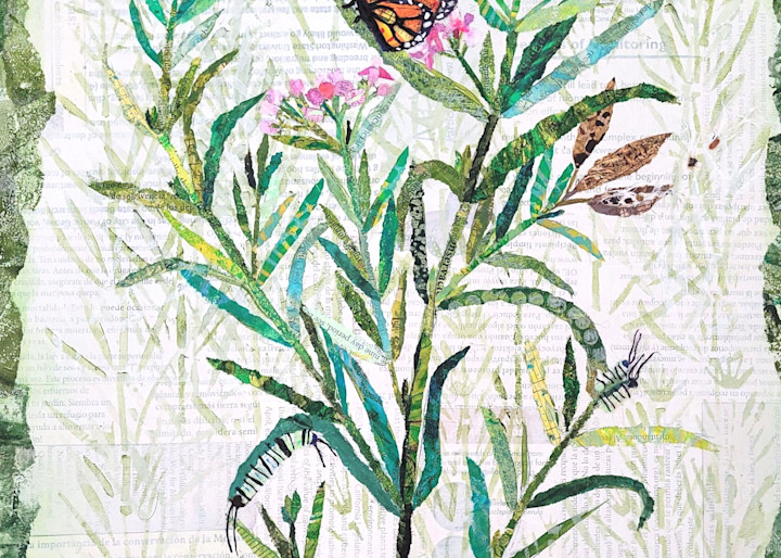 The Dance Of Life: Monarchs And Milkweed Art | Poppyfish Studio