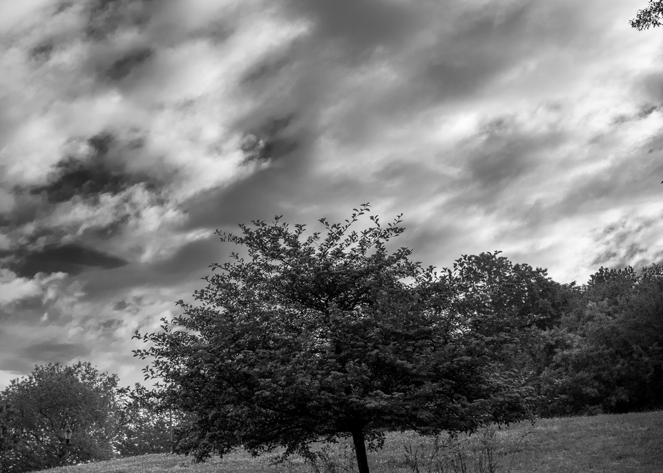 Clouds and Tree, 2021
