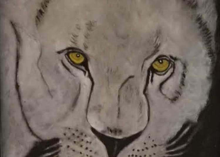 Lioness Art | Salvatore Ingoglia / Jbellarts
