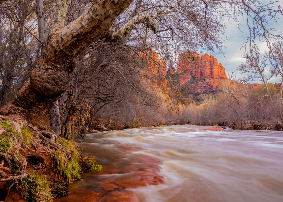 Oak Creek and Cathedral Rock - Arizona Landscape Photography - Thomas Watkins Fine Art