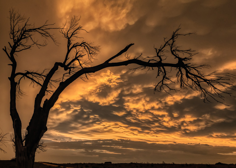 Texas Storm Sunset Art | Jim Livingston Art