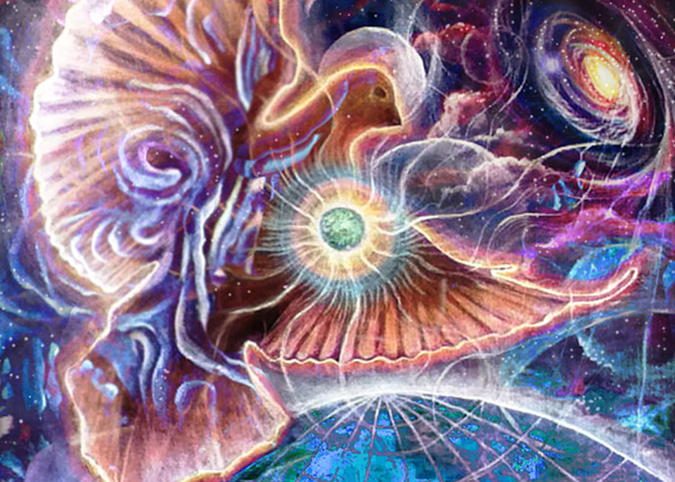 Fly High Art | Studio SpaceTime