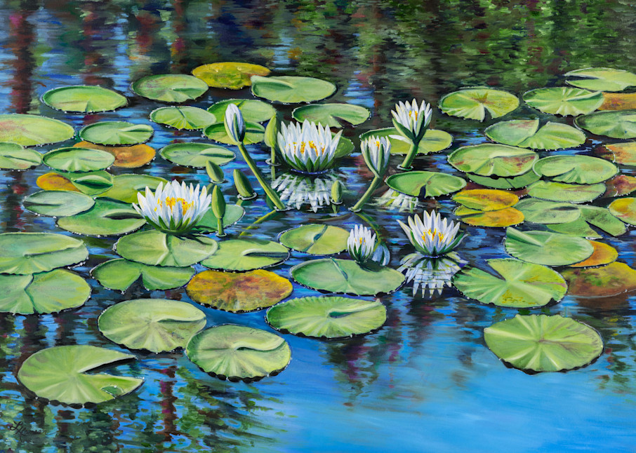White Waterlilies Art | Leanne Hanson Art
