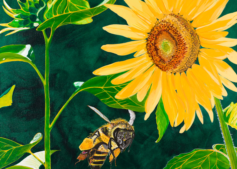 Bee Love Art | Pamela Trueblood Fine Art