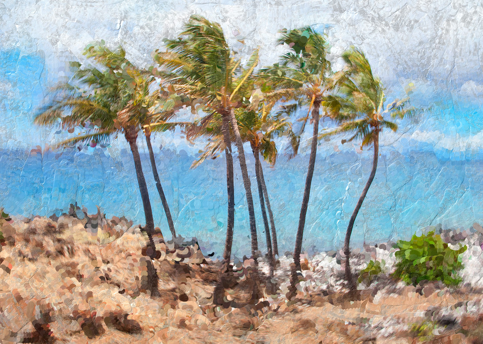 Palms Sway Art | Rick Peterson Studio