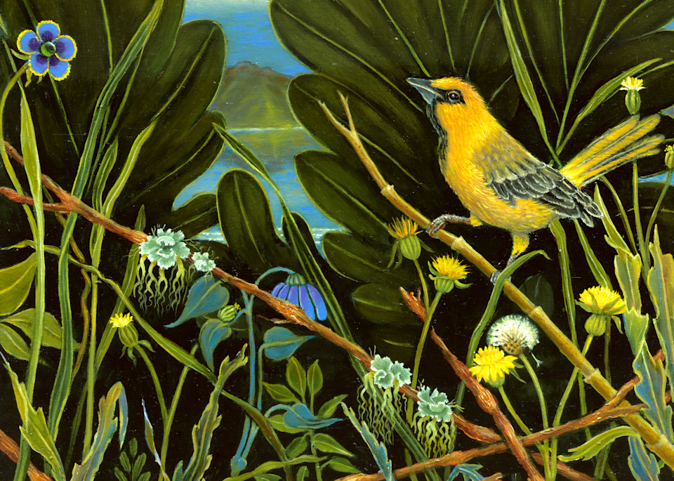 Yellow Bird Of Lake Chapala Art | miaprattfineart.com