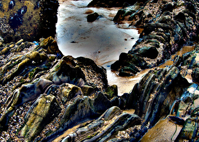 Tide Pools Photography Art | Outwater Productions