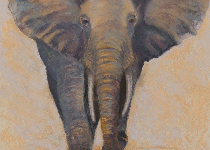 Painting of elephant, Walk On, by Nancy Conant