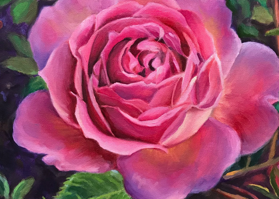 Pink China Rose Art | Jennifer Zardavets Art