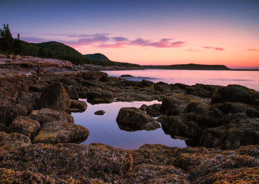 Sunrise at Ocean Path - Acadia National Park fine-art photography prints