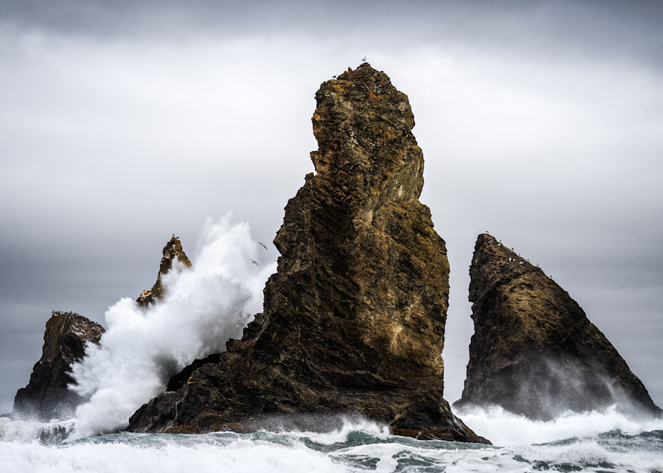 Oregon Coast Xiv Photography Art | Michael Schober Photography