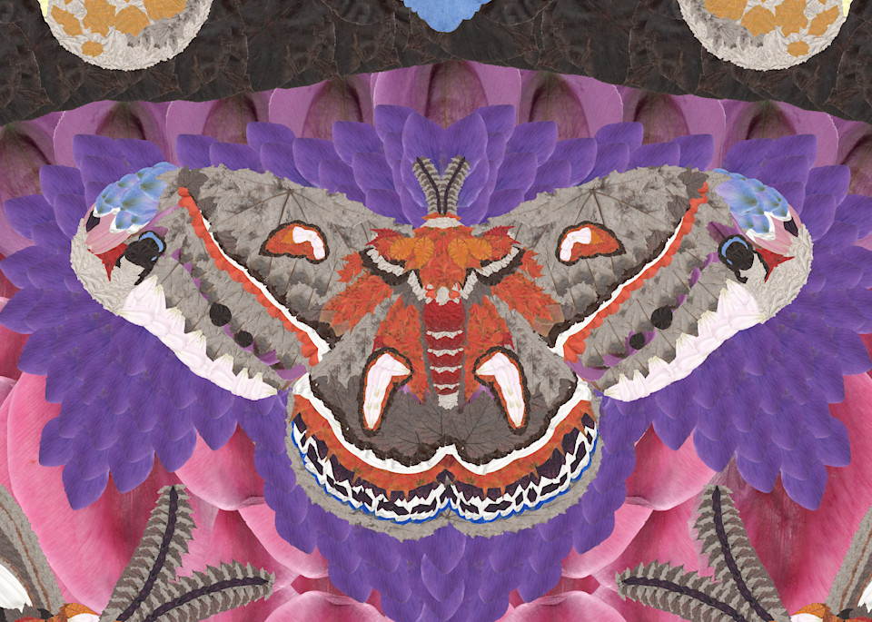 Moths And Moon Art | smacartist
